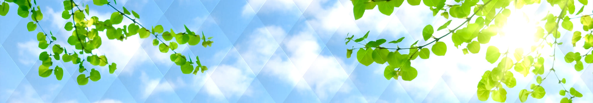 プライバシーポリシー